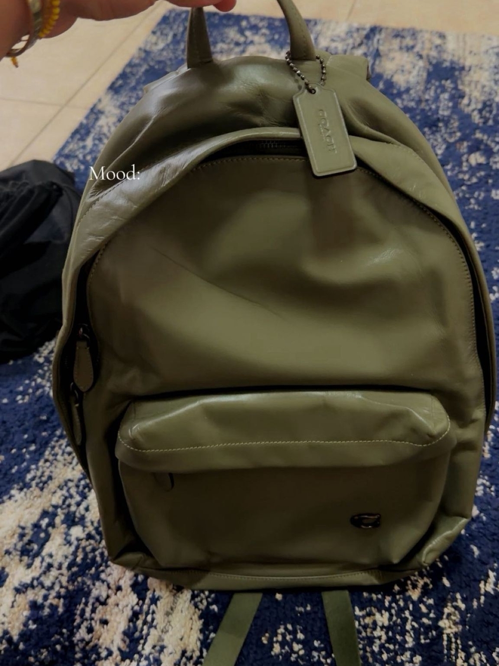 Coach Olive Leather Backpack in Military Green